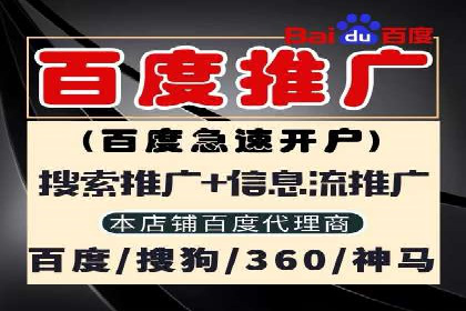 SEM托管服务，成功案例分享转化秘诀